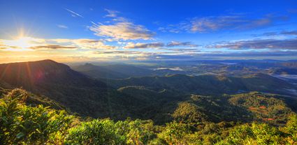 Best of All Lookout - Springbrook National Park - QLD T (PB5D 00 3930)